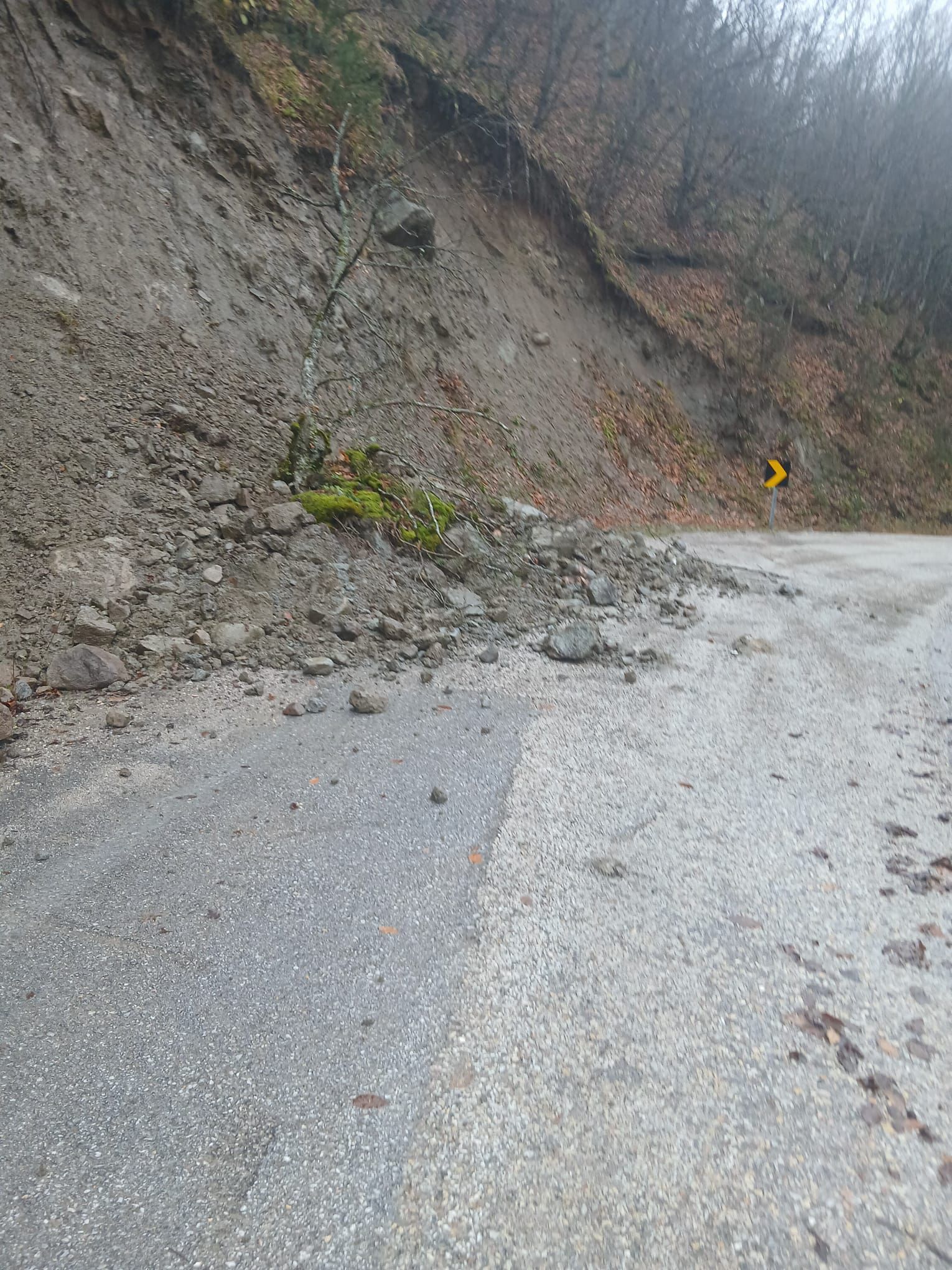 A352D02D 1Dc5 432F A7B9 F4Da5Cb91322