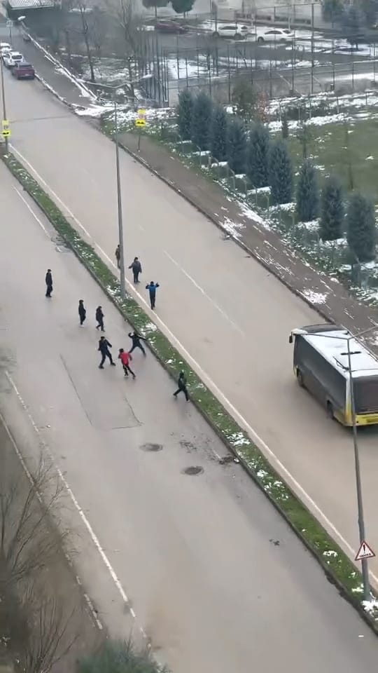 A435E70D 3Bd0 4F11 A1Ff 86Daeb6B3601