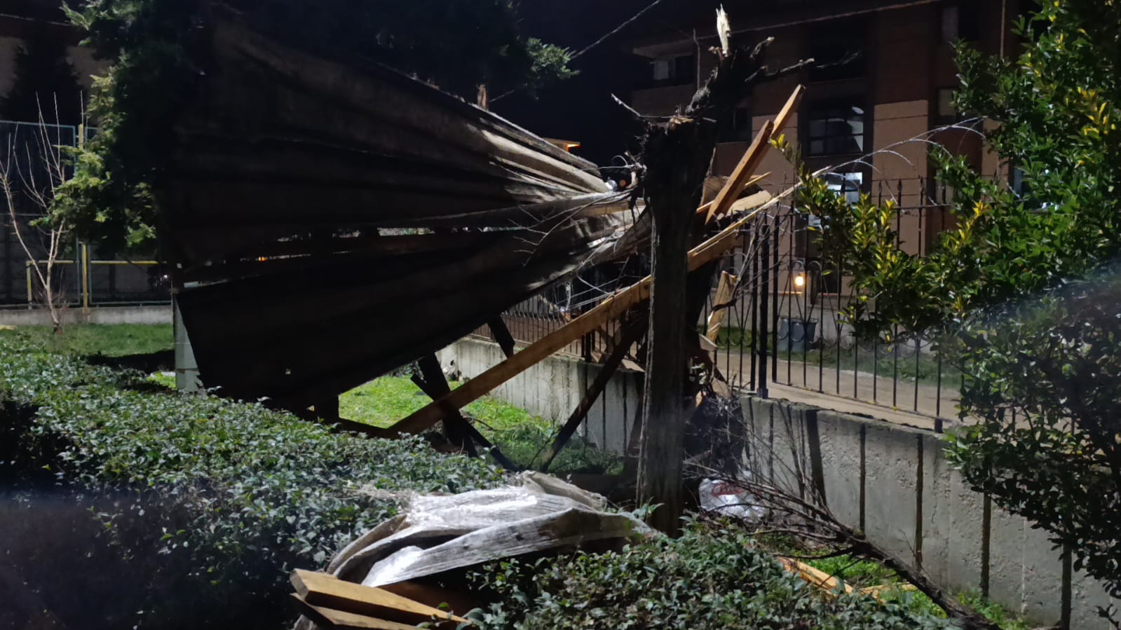 A790Cd2D C110 4B3A 959C 5E2Dfc2210D5