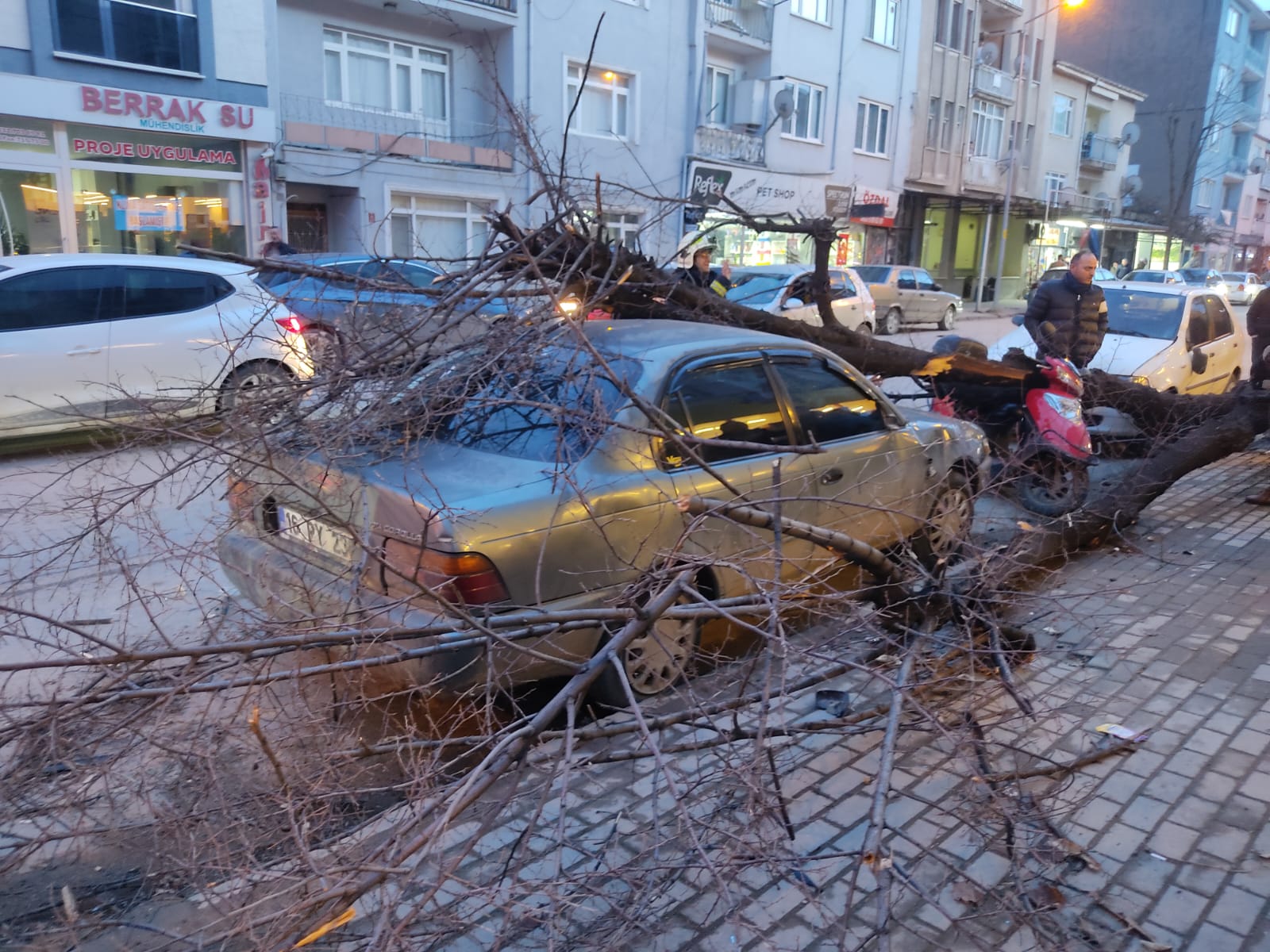 Bb1Fca8F 72Cd 4Ec2 90Ea 41Af9F6541Cf