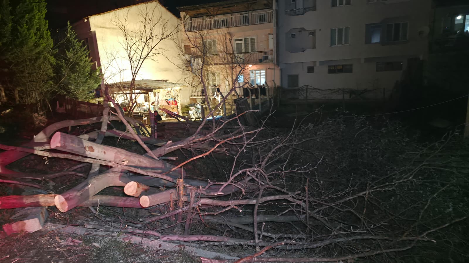 C2A33329 8Fa2 41Bc Bb63 A759D8F1Cdaf