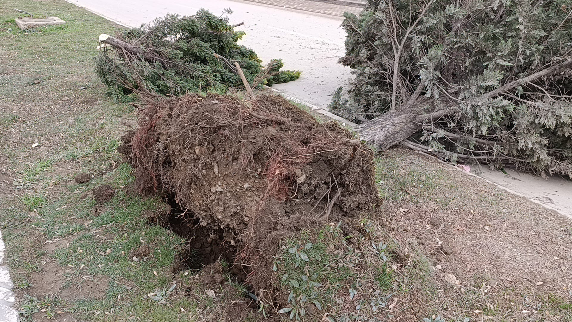 D633Fff4 81Df 4B1B A746 7B0F2673D7Ec