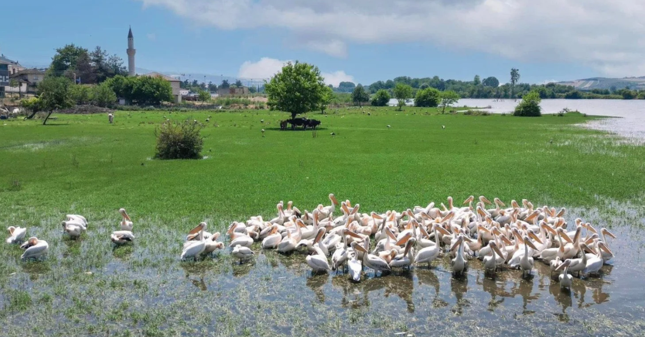 Ekran Görüntüsü 2026 01 27 152506