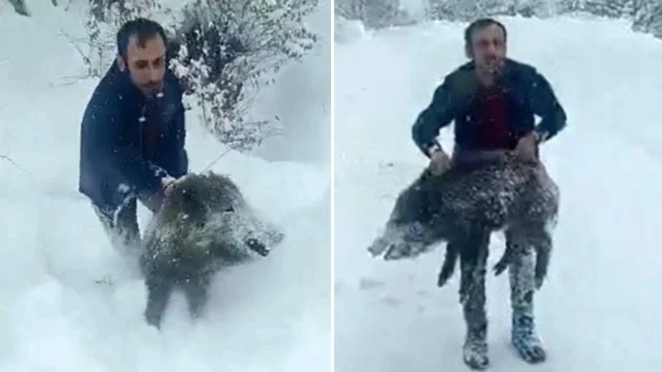 Sinopta Domuz Yakalayan Vatandasa 15 Bin Lira Ceza H1597121 11