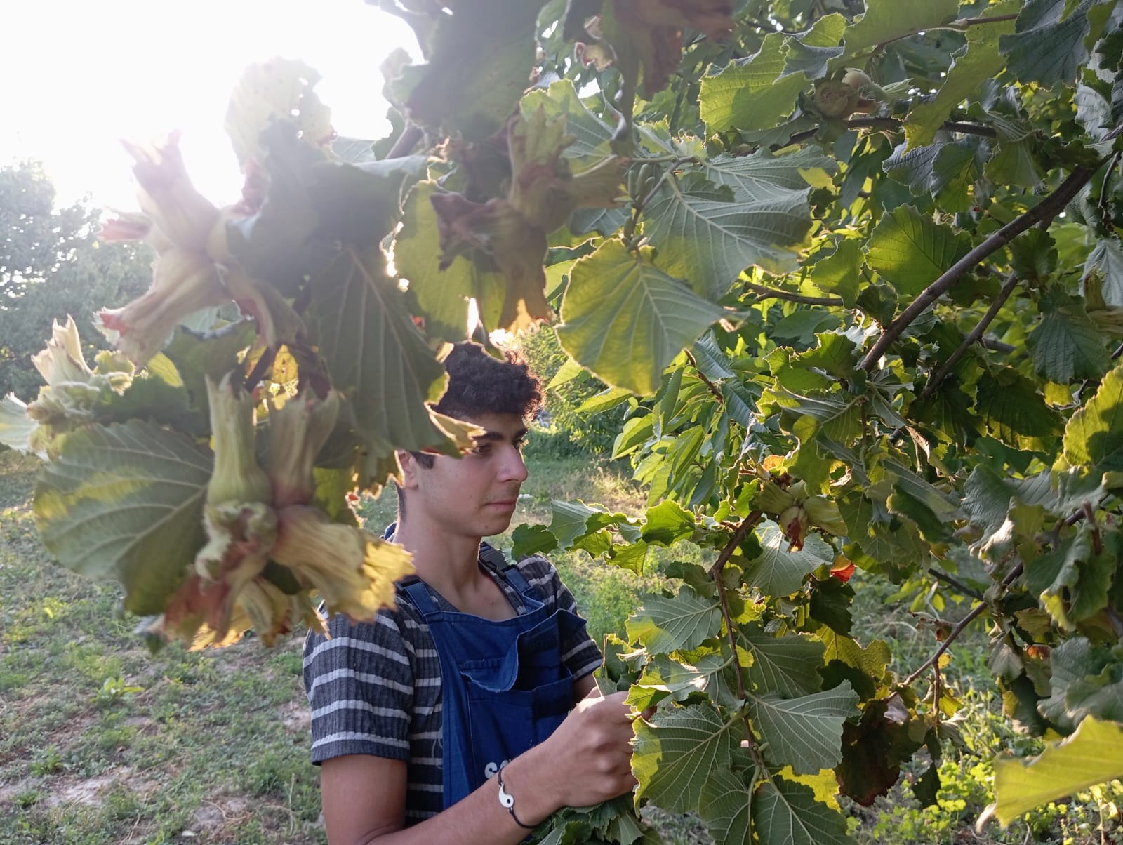 Whatsapp Image 2026 01 09 At 09.25.01