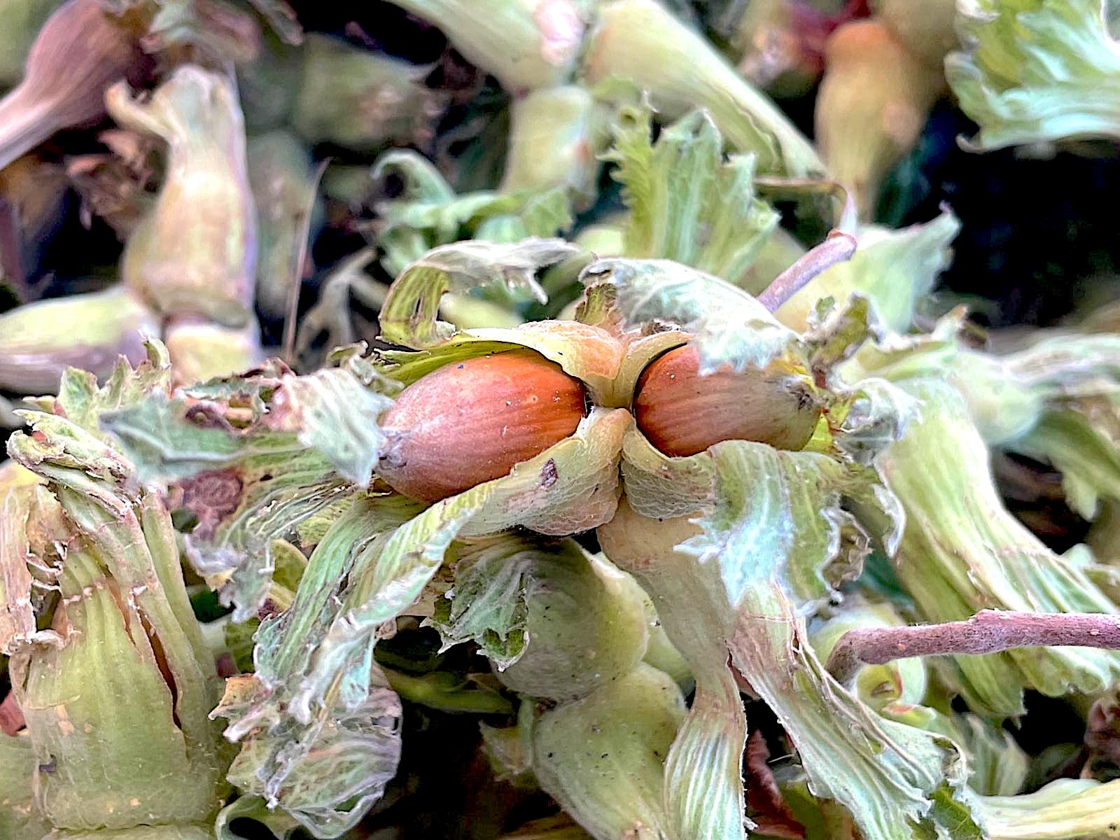 Whatsapp Image 2026 01 09 At 09.25.02