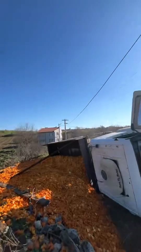 Whatsapp Image 2026 01 09 At 15.38.13 (1)