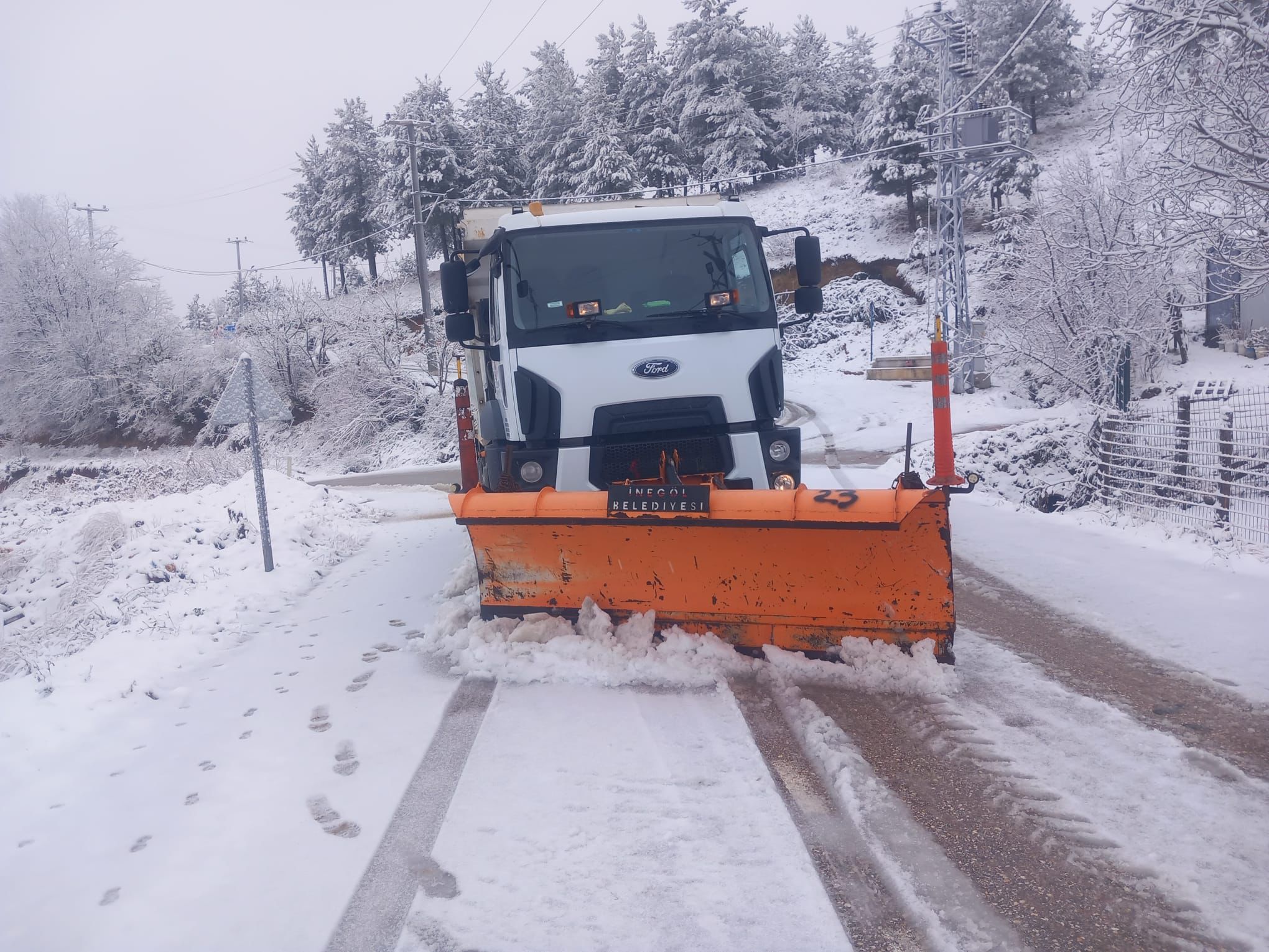 Whatsapp Image 2026 01 13 At 12.00.17