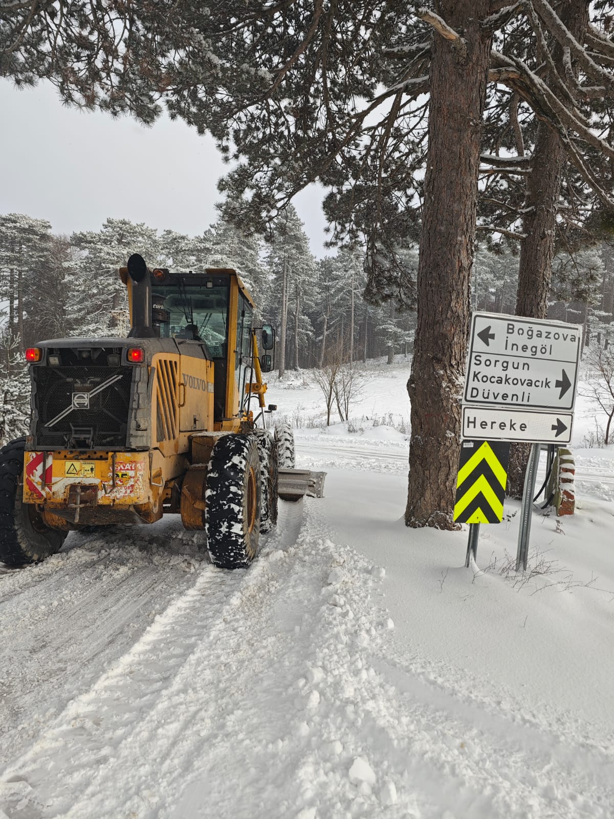 Whatsapp Image 2026 01 20 At 11.42.03