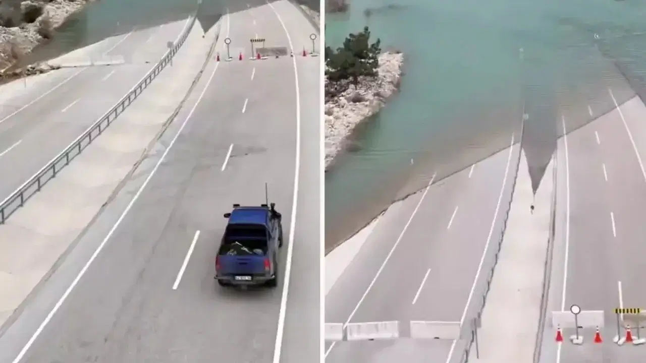 805Aa857 19D5 4A2A 9C43 Ce29796Df4A6