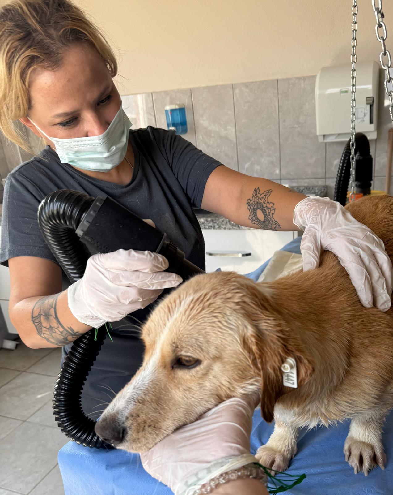 Ab4Ee58C 3F0E 4690 A9A2 90De383A4927-1