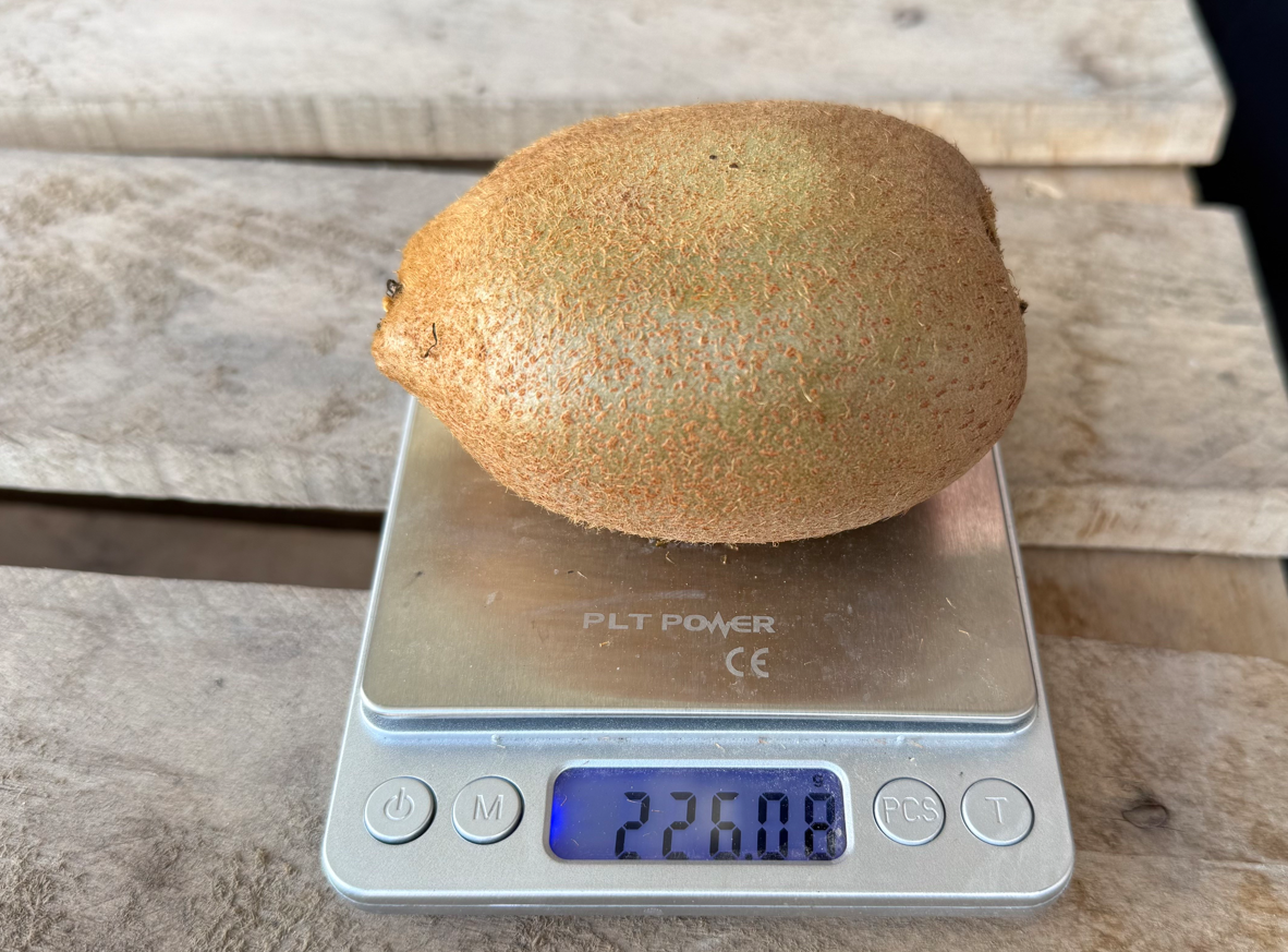 Ekran Görüntüsü 2026 02 07 161809