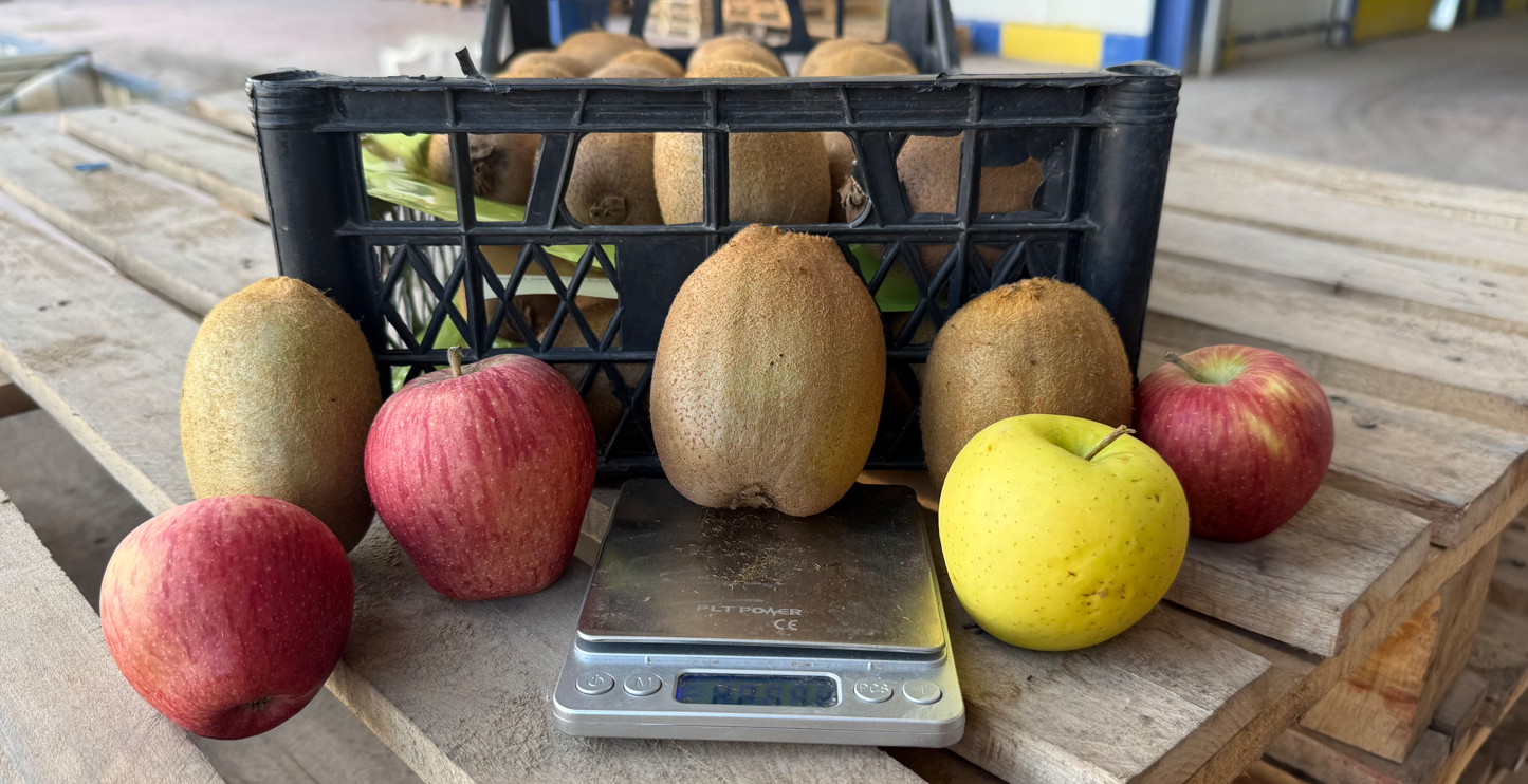 Ekran Görüntüsü 2026 02 07 161817