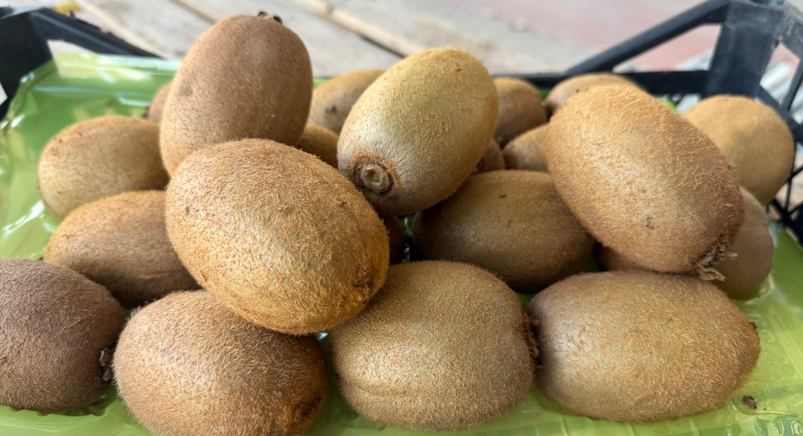 Ekran Görüntüsü 2026 02 07 161837