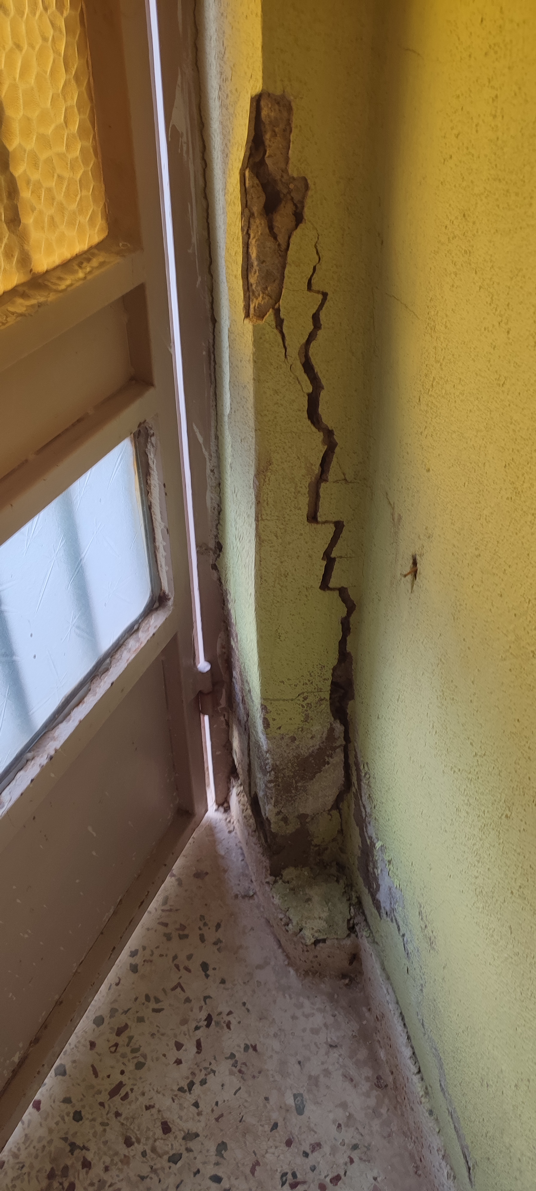 I M G 20250131 145036 Original