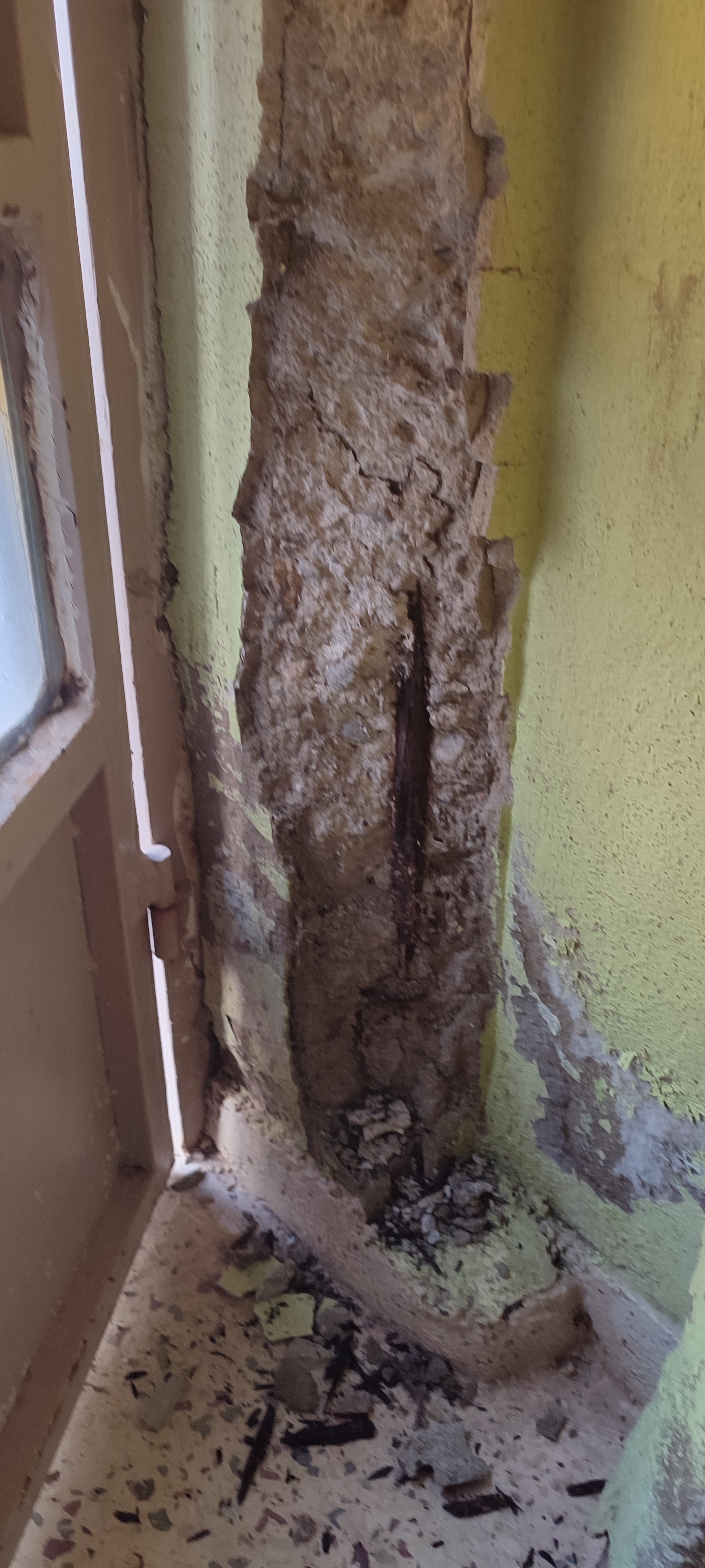 I M G 20250131 145152 Original