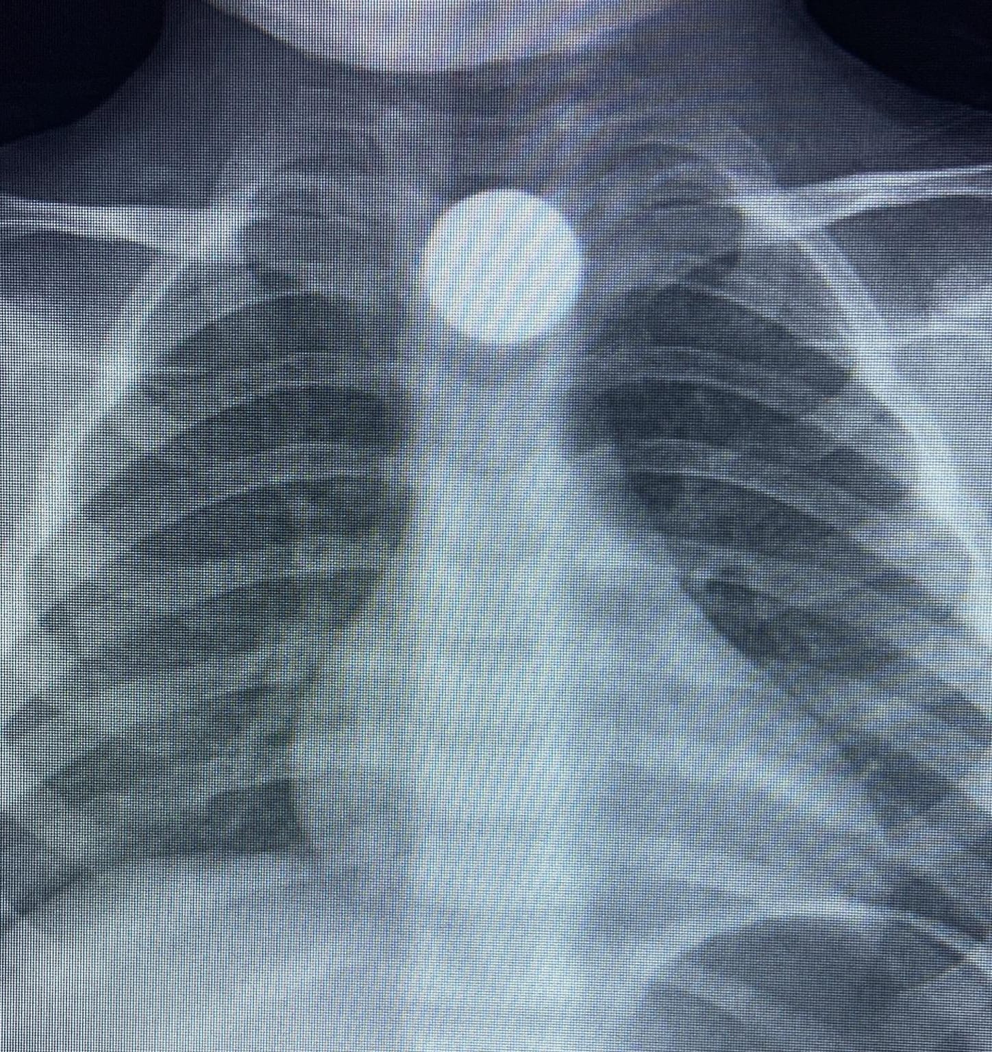 Whatsapp Image 2026 02 03 At 12.41.17