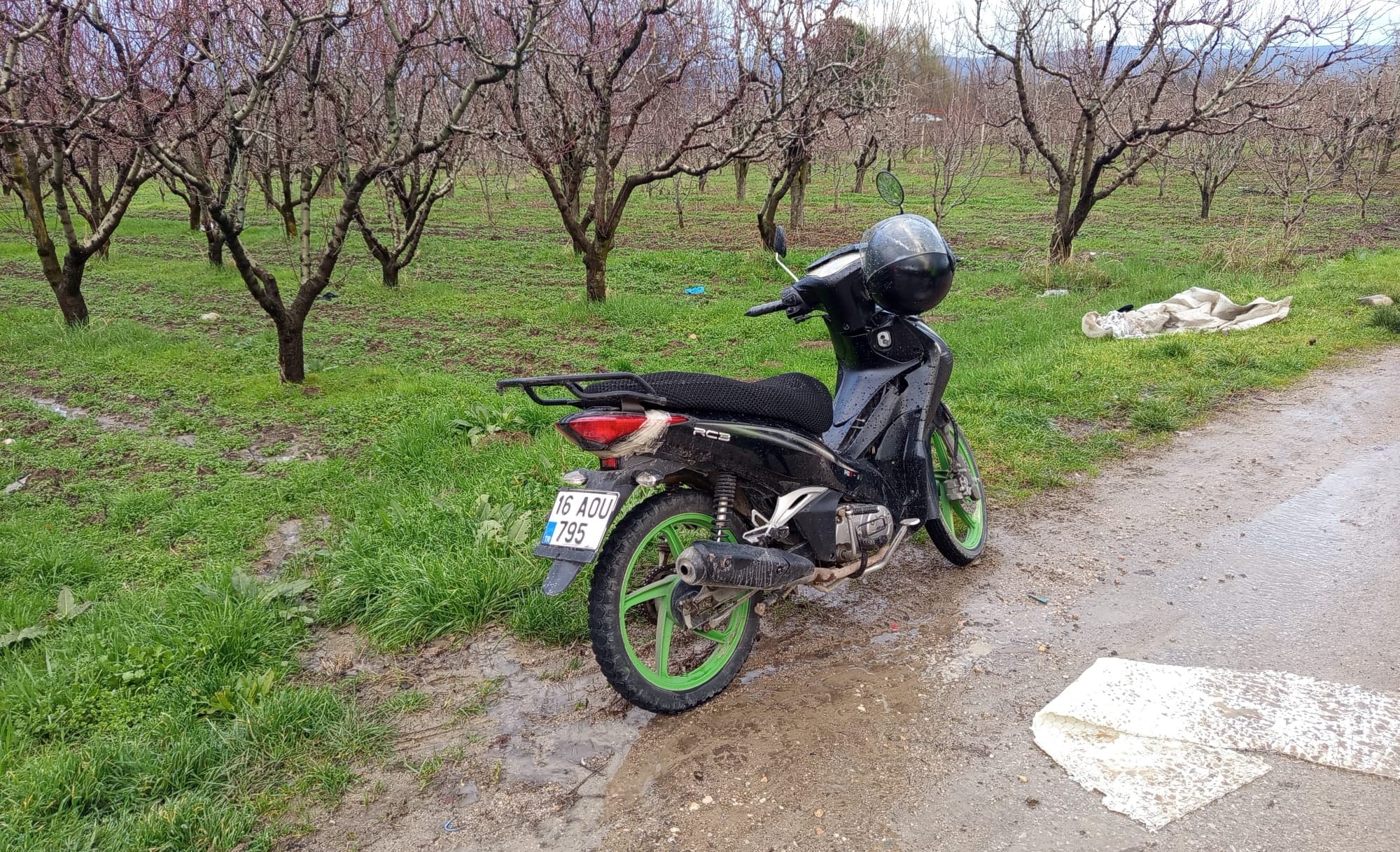 Whatsapp Image 2026 02 07 At 18.51.03 (2)