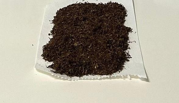 Whatsapp Image 2026 02 10 At 15.55.14