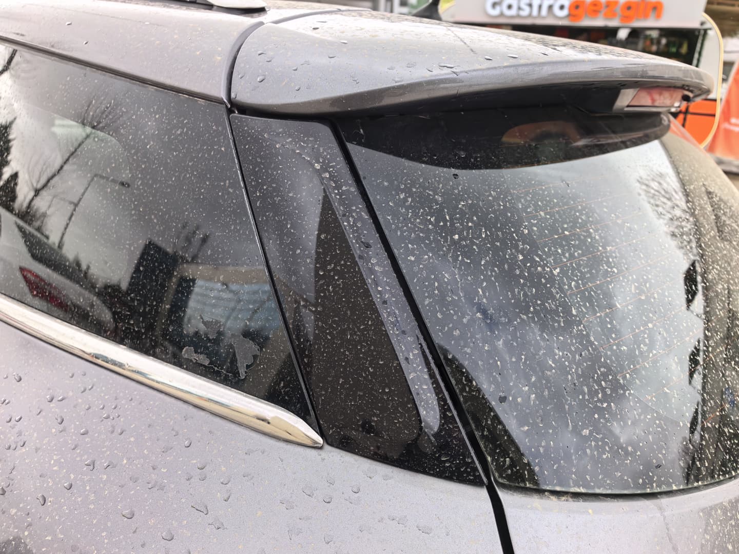 Whatsapp Image 2026 02 16 At 10.51.31 (1)