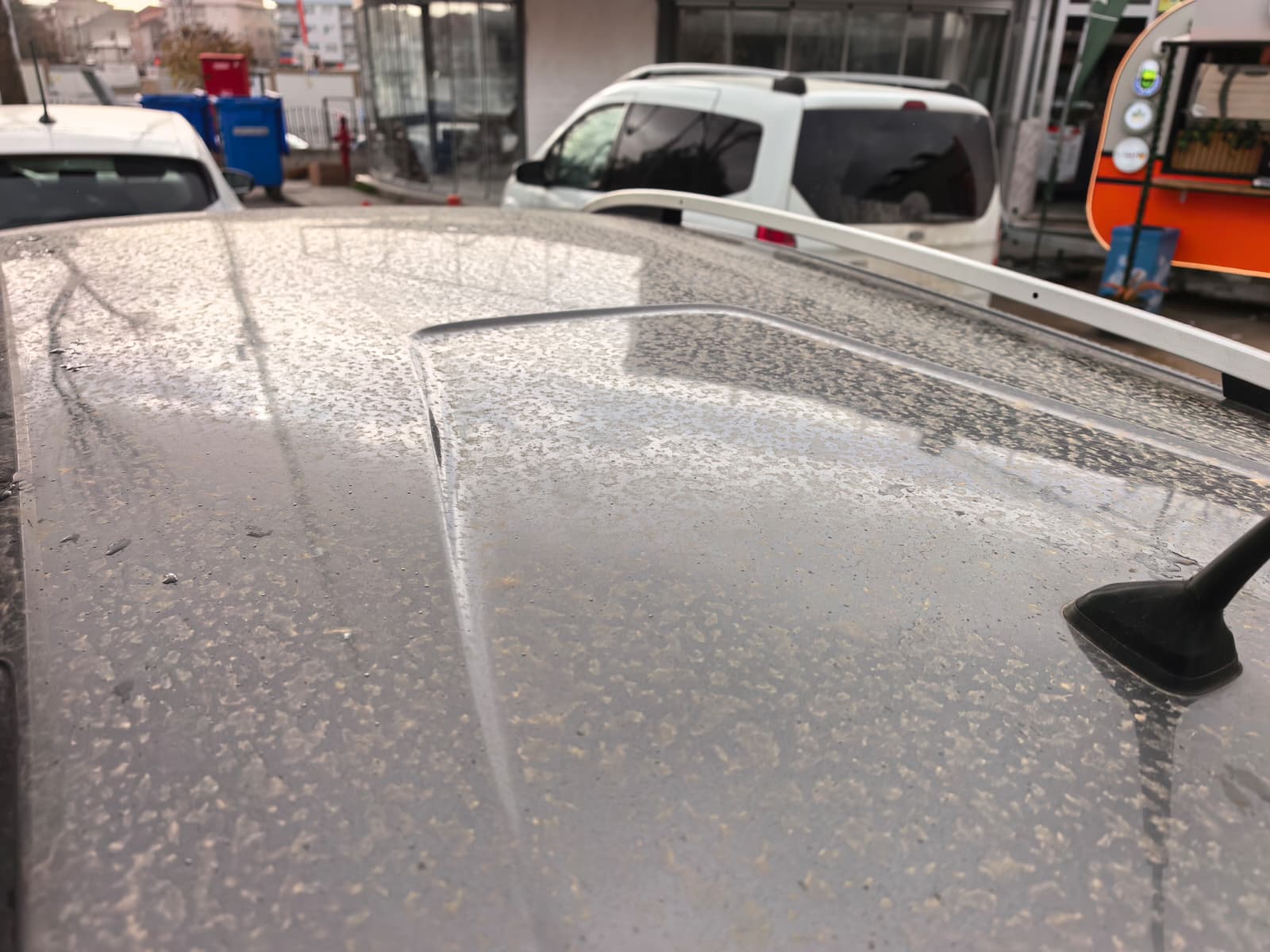 Whatsapp Image 2026 02 16 At 10.51.31 (2)