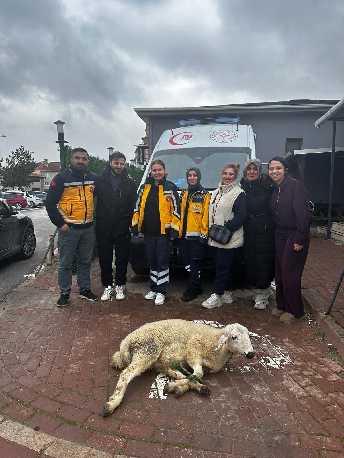 Whatsapp Image 2026 02 18 At 15.24.21-3