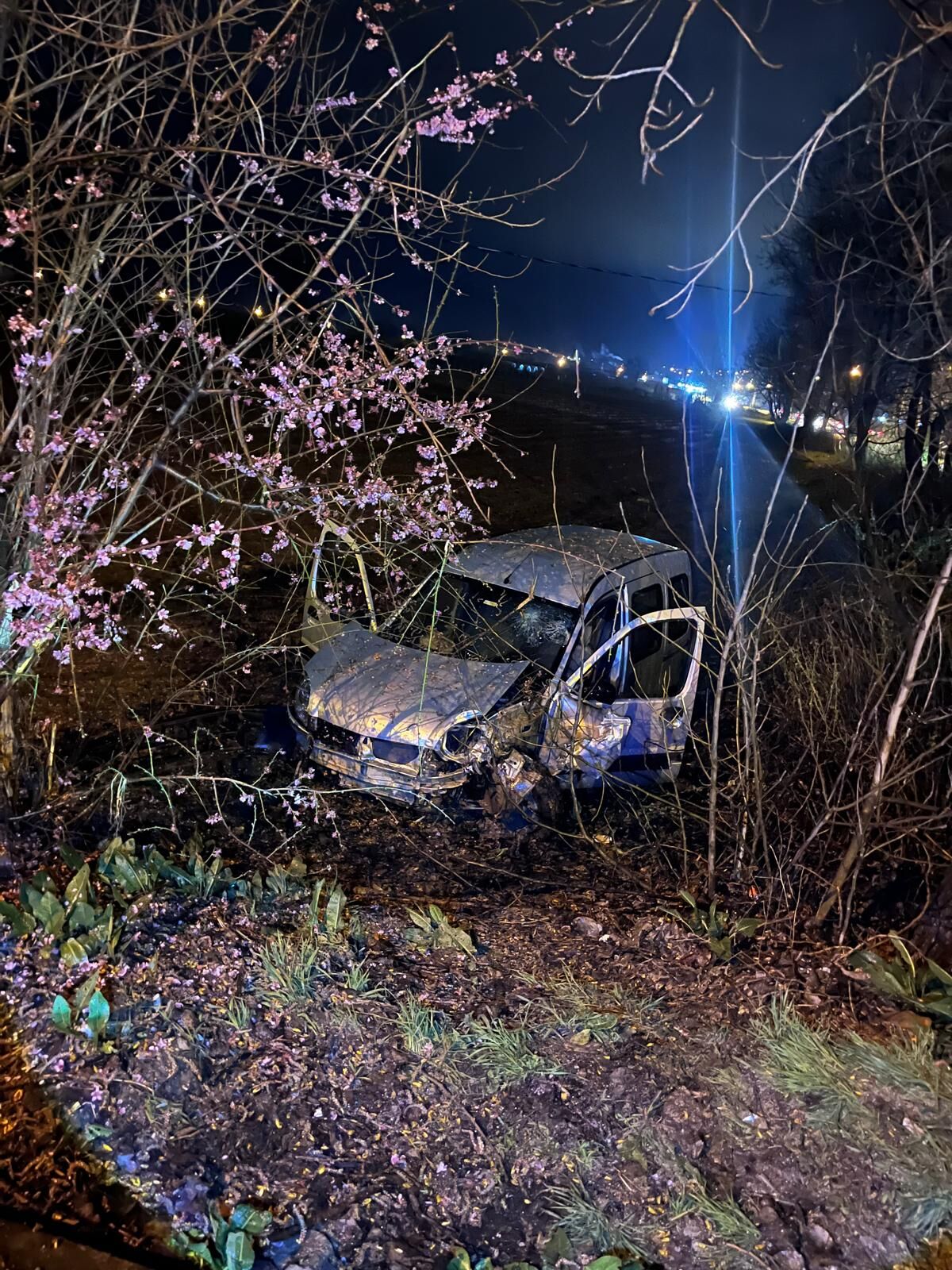 0C908563 4690 4699 A7B0 A80E6Fb1807D