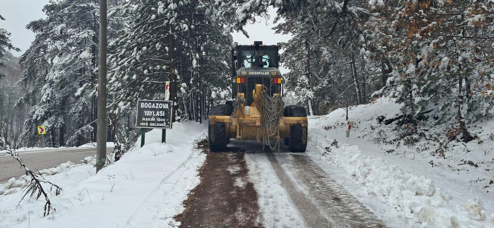 1Ecc61D7 2D25 46D7 905E 6D278Efe20Aa