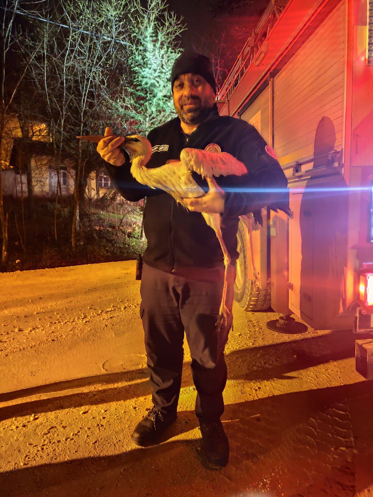 57A7D6B2 8B8C 4456 9A7A 3221C0F69Be6