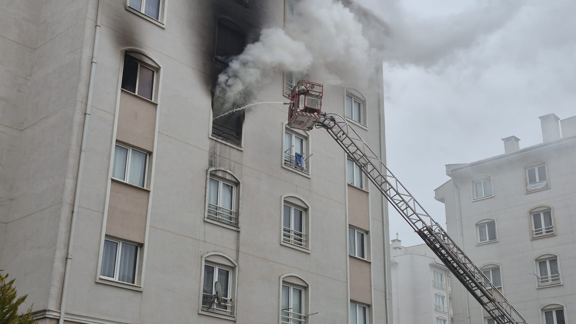 7477C0Ce 5Def 408E Be23 F619Aa8404Ff