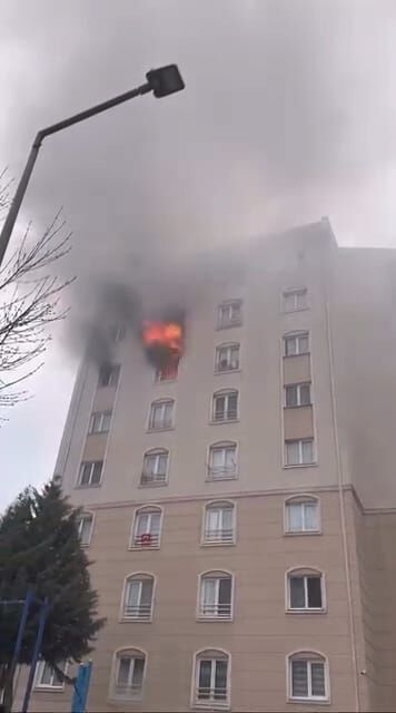 78523D2B 026B 4210 Ad24 E6027D20C22B