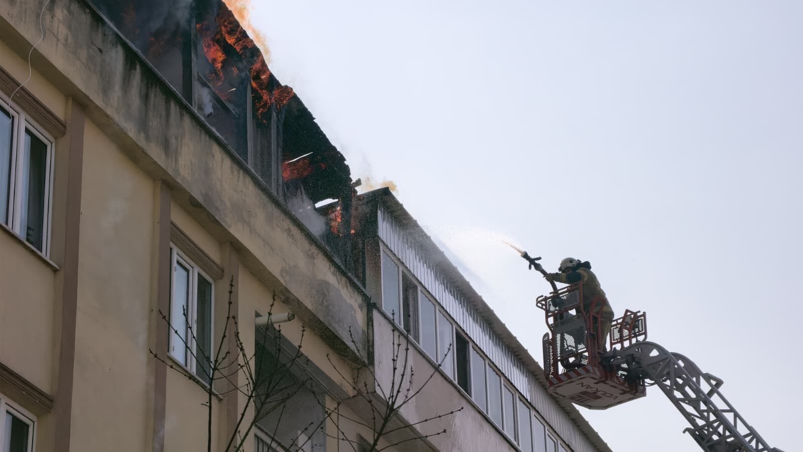 81937495 Aa1D 43Dc Abac 810Cca87A04B