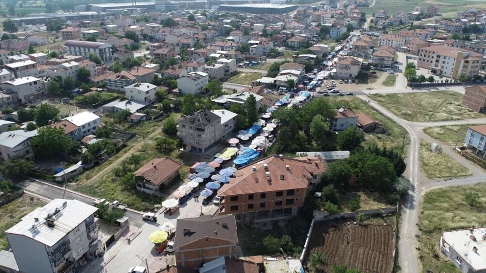 871Bb9A8 9B54 4B8A A122 08E084Bb3787