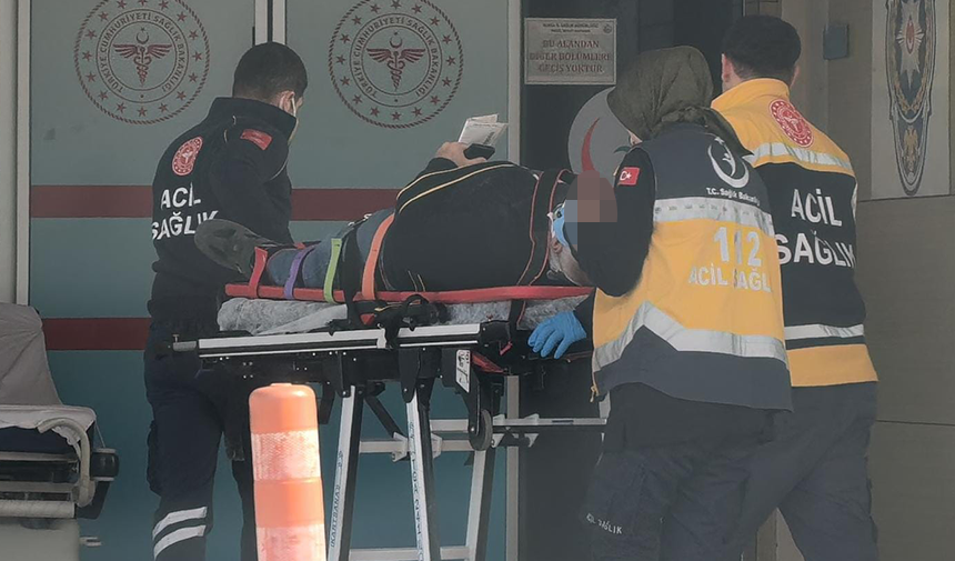 Başlıksız 1 Kurtarıldı Kurtarıldı Kurtarıldı Kurtarıldı-30