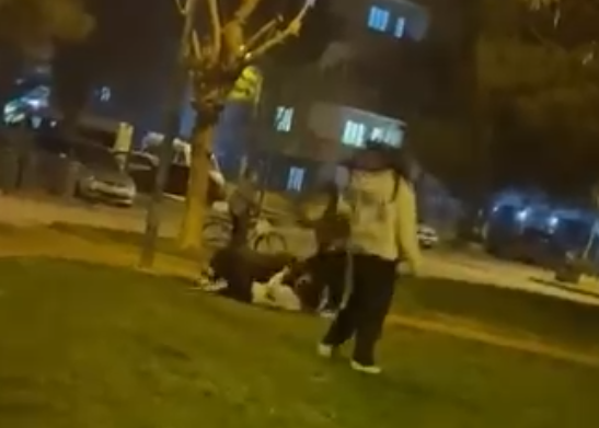 Ekran Görüntüsü 2026 03 03 231937