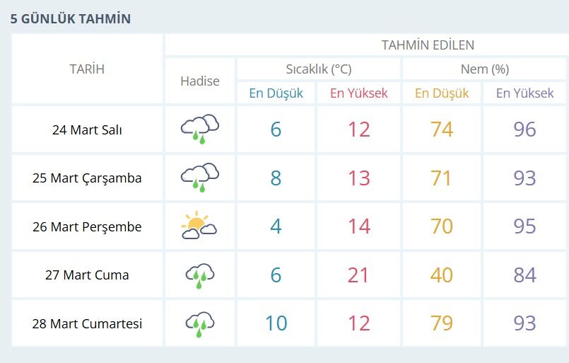 I M G 20260323 W A0077