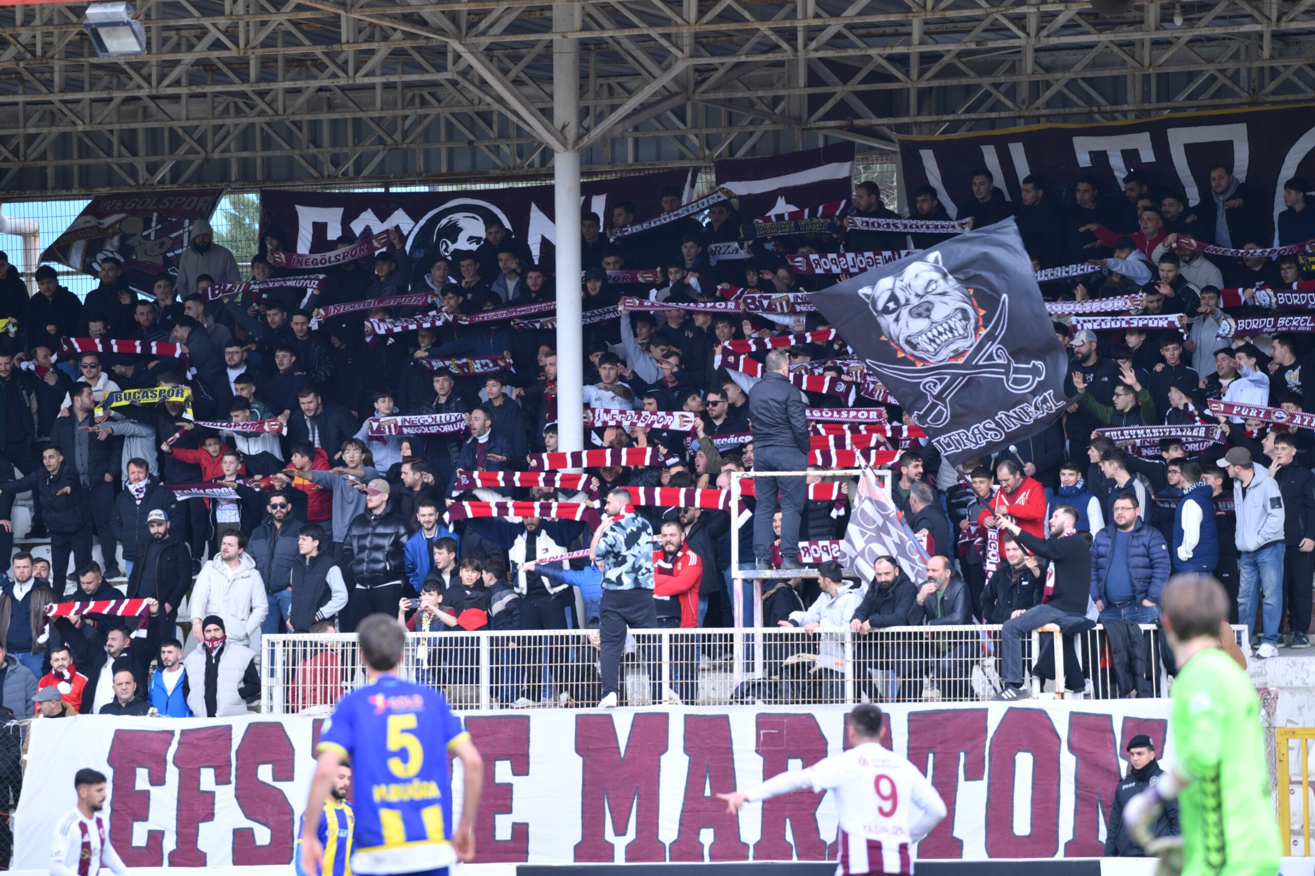 Whatsapp Image 2026 02 28 At 17.06.09