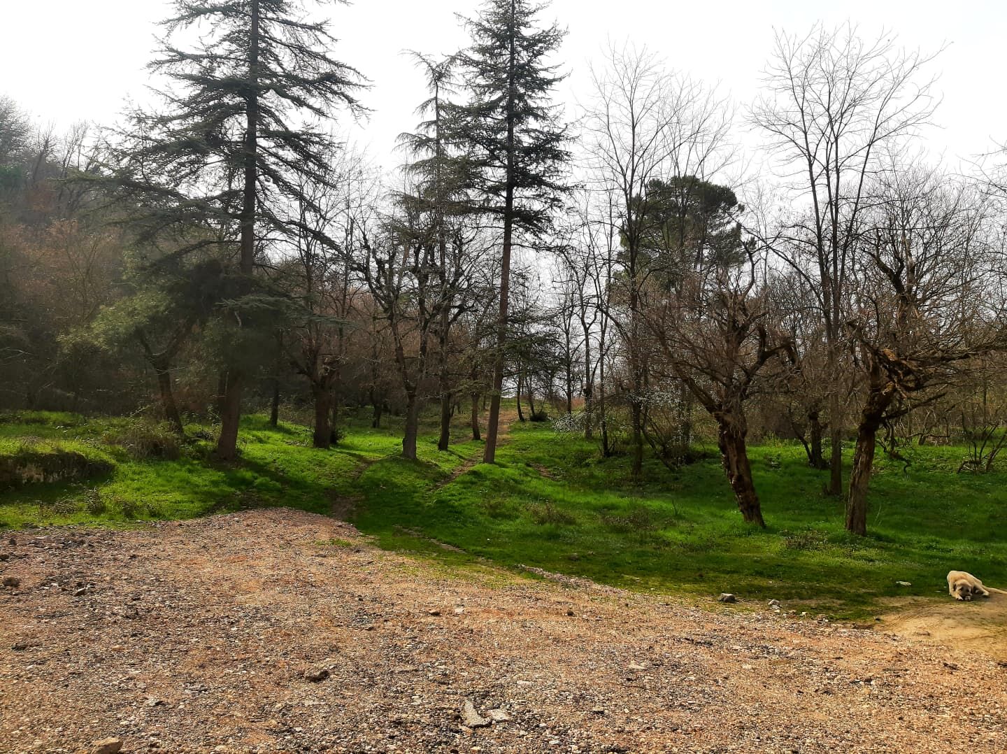 Whatsapp Image 2026 03 04 At 13.45.17 (2)