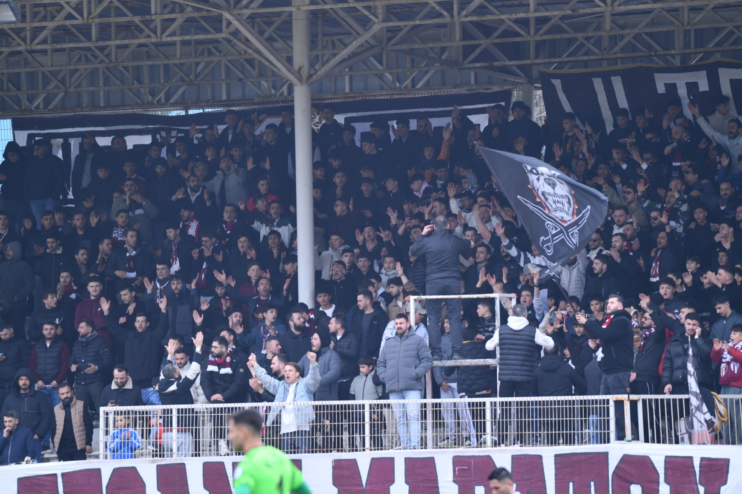 Whatsapp Image 2026 03 15 At 17.31.40