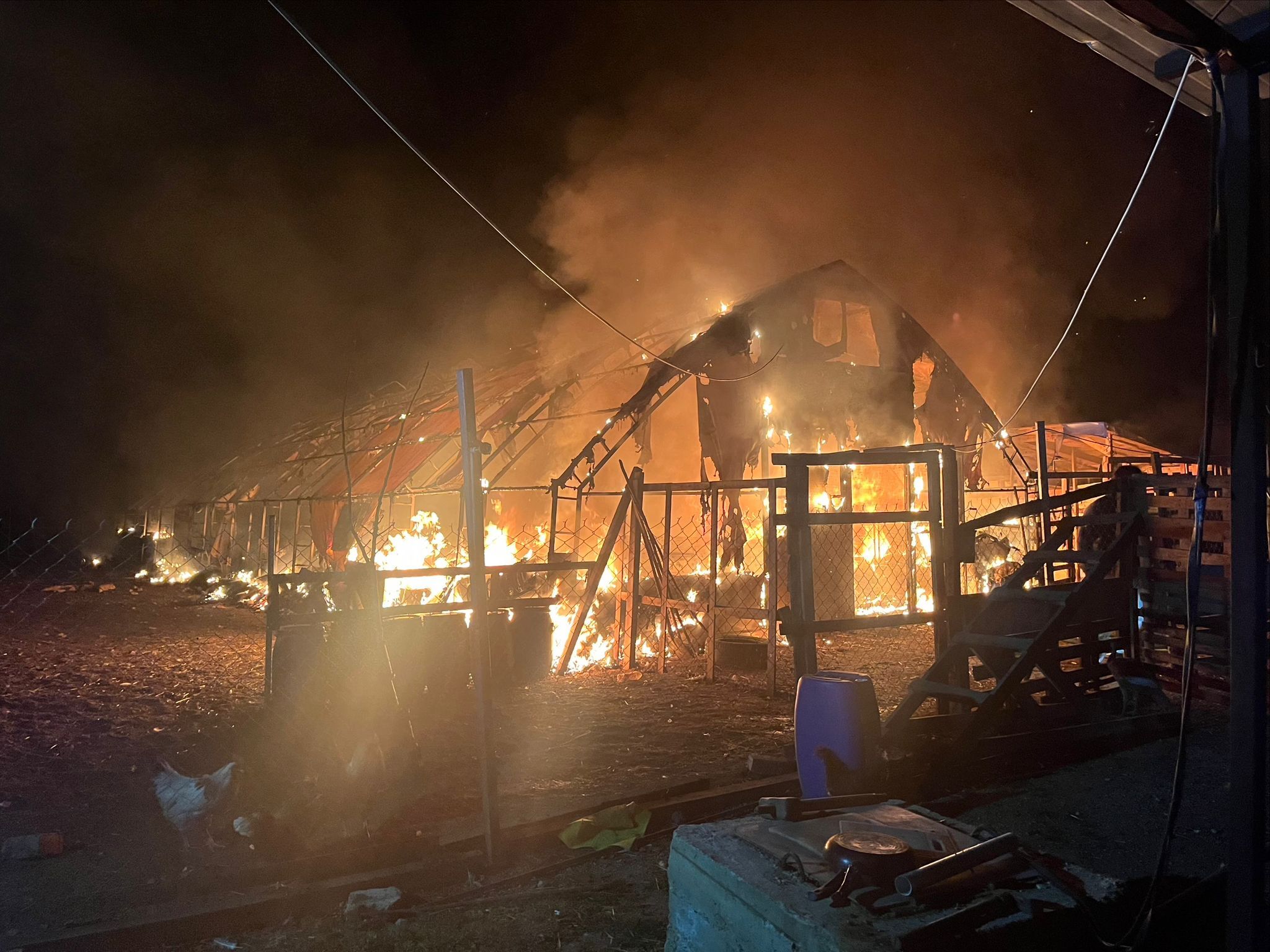 Whatsapp Image 2026 03 15 At 20.45.35