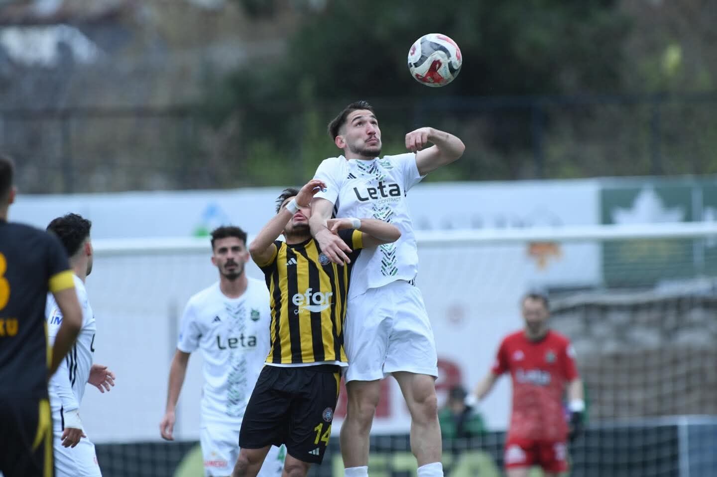 Whatsapp Image 2026 03 29 At 17.55.42