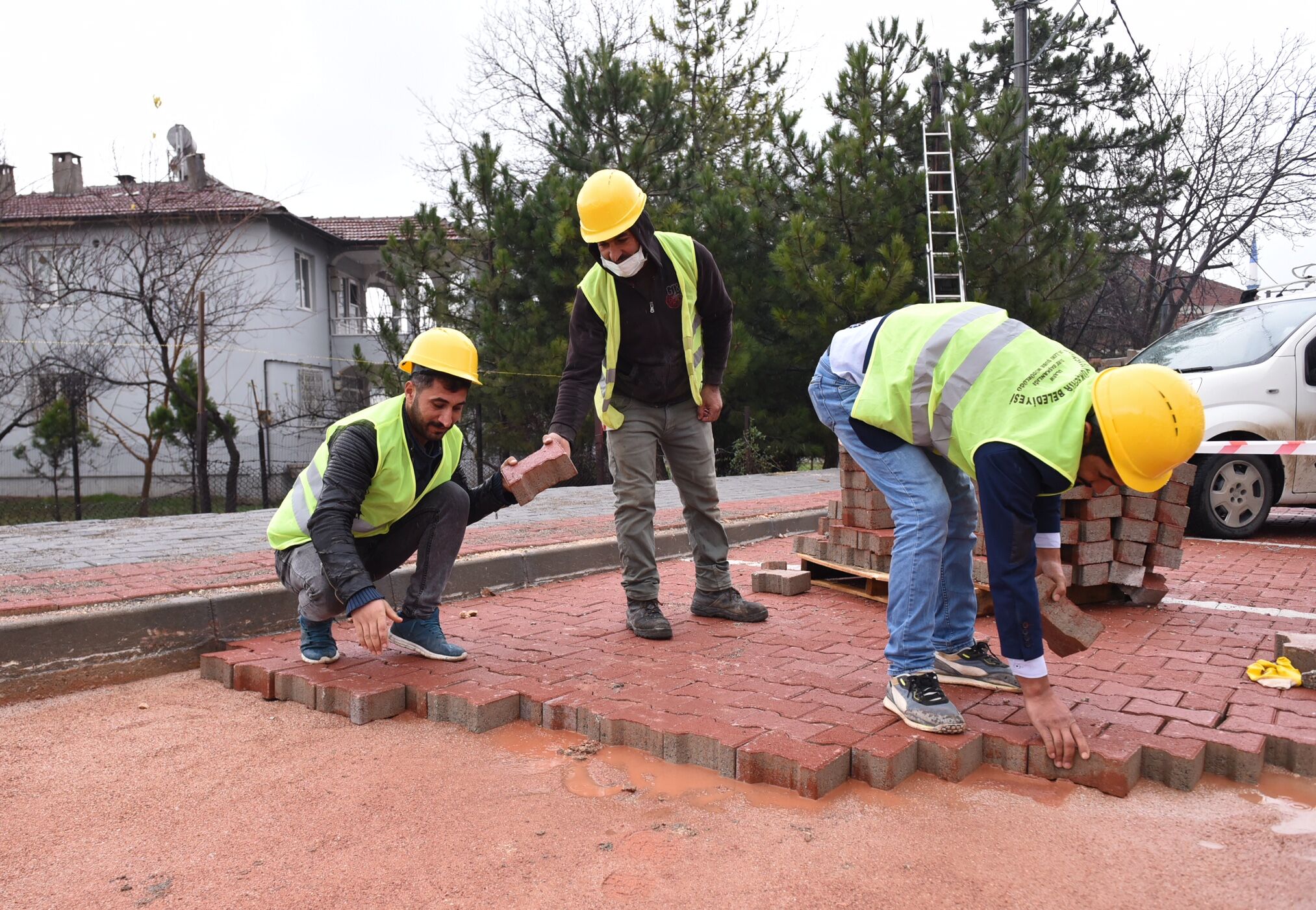 30936 M T Yx Yjcz Z W 1