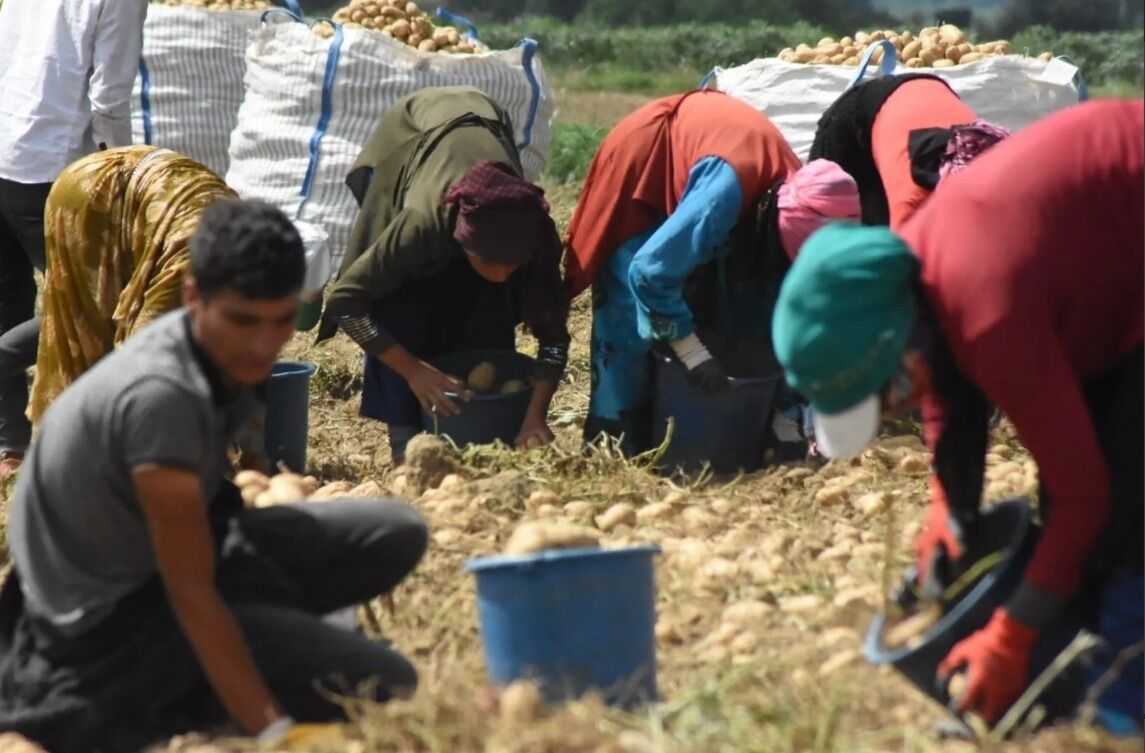 31E419Ee 5C3D 4922 B9Ae 7B177D3Efeda