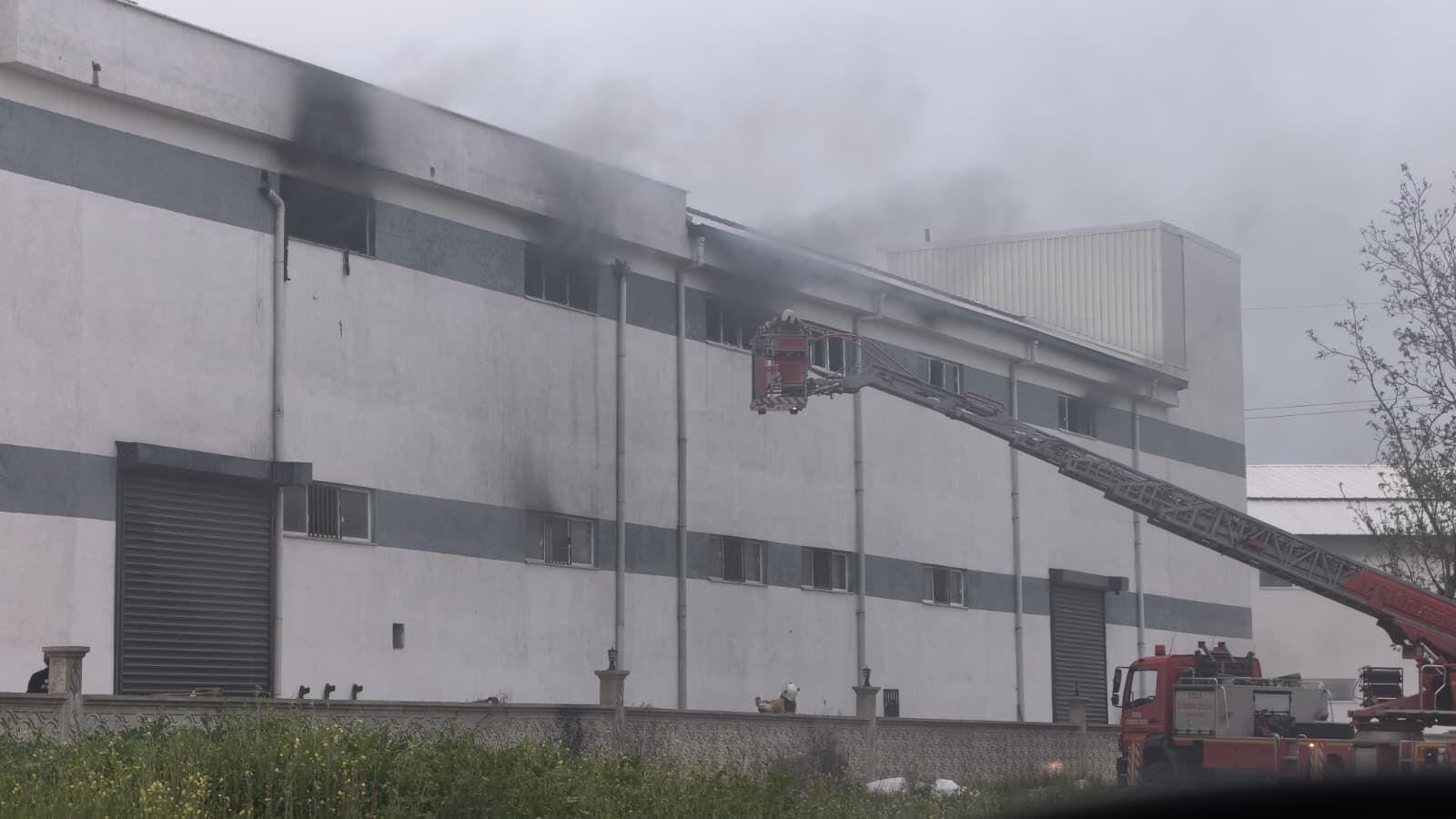 382Aa076 7A3F 4B45 84D0 9111A93D8520