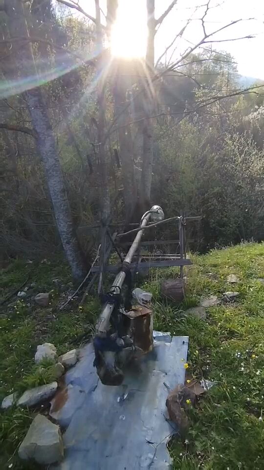 3D2Af396 5817 48A7 A6D7 70Fa6Ae0D7E8