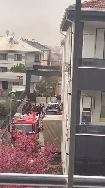 5596D7Fe E9E8 4003 8Add E42039E59C20