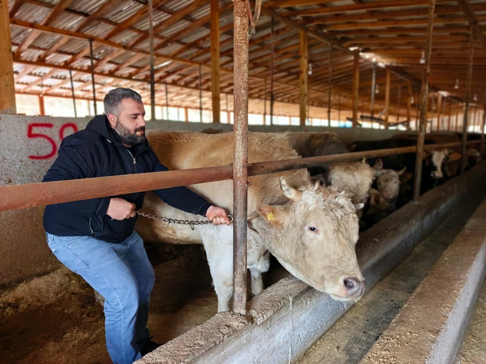 5Fae88E2 795D 4Bf5 862A 5A00Fc299E70