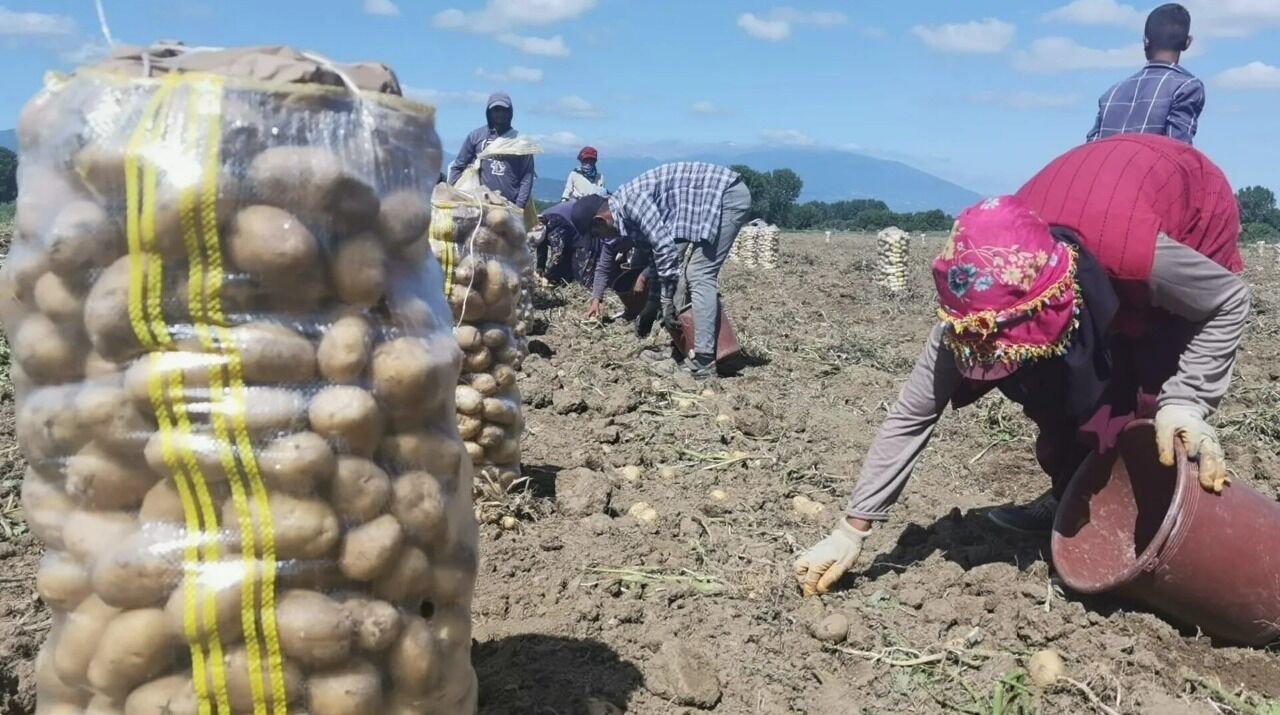 Ab9B960A A59C 4A0E 957C 9A7A94Fe03F5