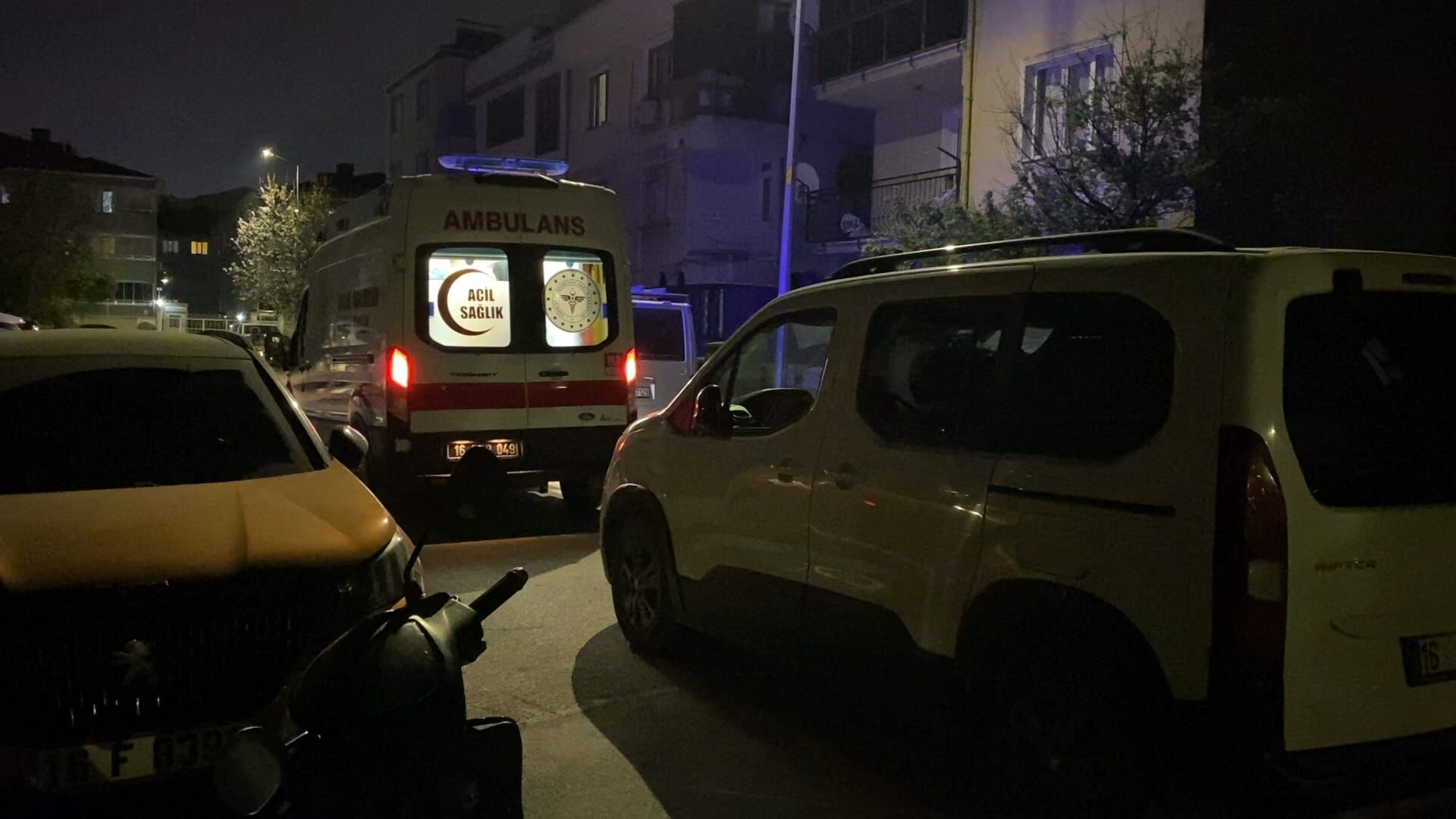 Bcec5161 B03F 45B4 B820 Cd14Fd4Dcd92