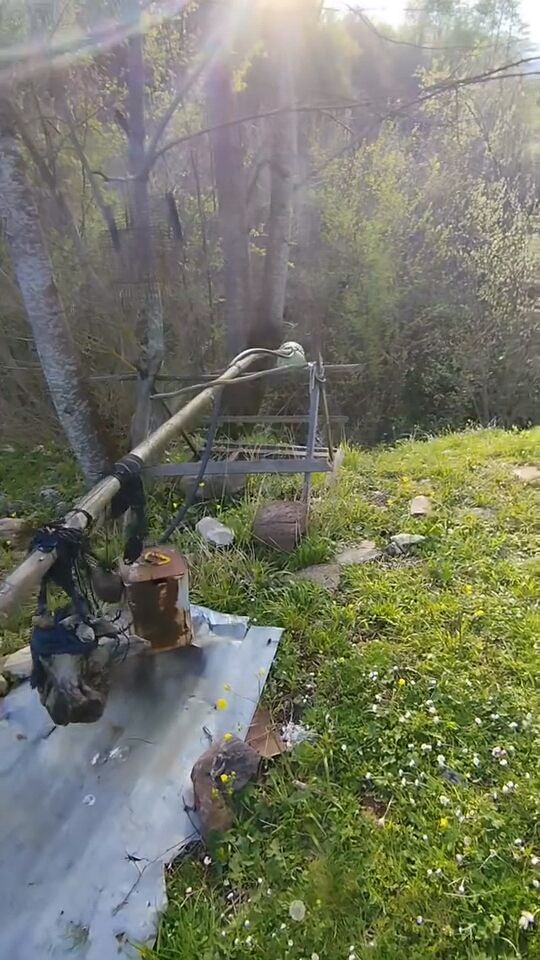 C5Dd8256 Df32 4Eb2 A7Fe A562394B1Ebd